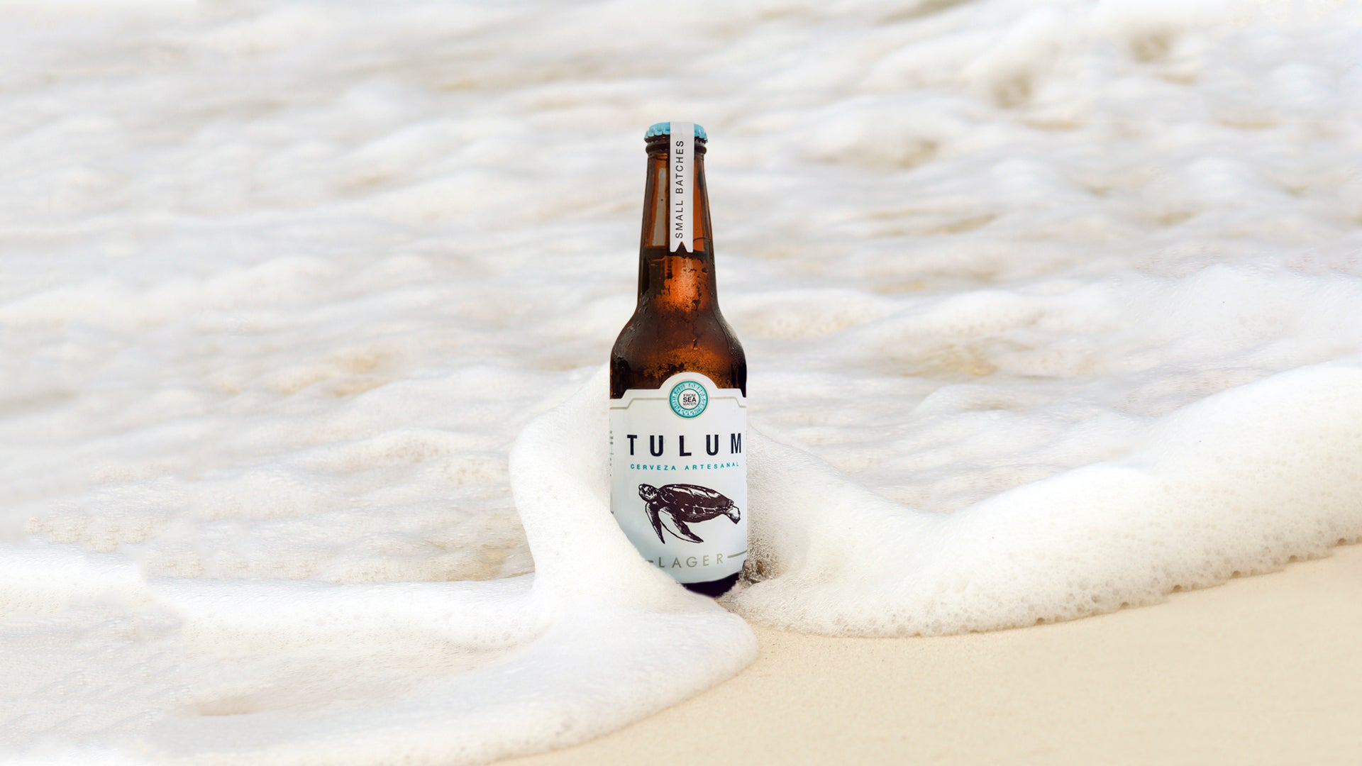 oportunidad impacto Velocidad supersónica History of Tulum Beer – Cerveza Tulum